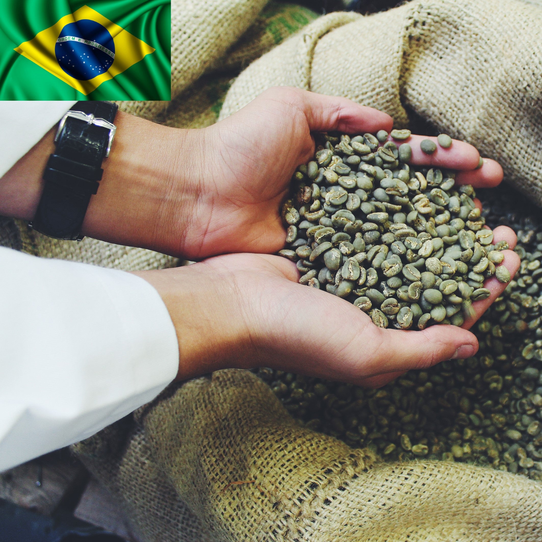 Brazil Santos Green Coffee Beans Unroasted Raw (100 Arabica) Hand Roasted Coffee Warehouse